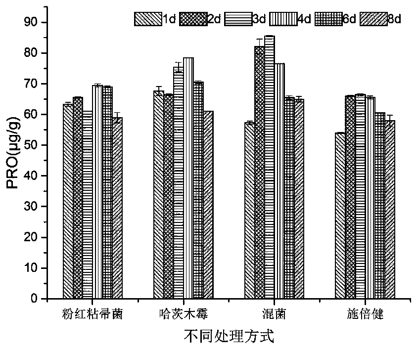 Compound biocontrol microbial agent as well as preparation method and application thereof