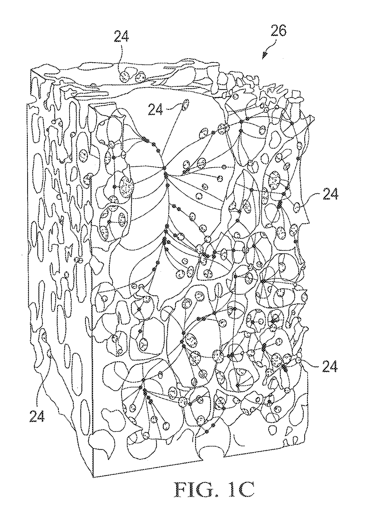 Measuring connectivity between different pore types in porous media