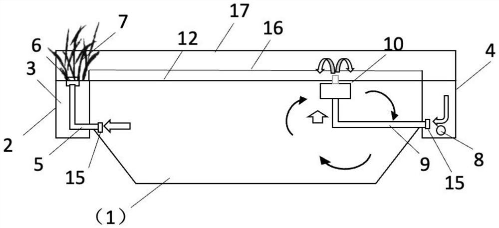 Water body self-circulation fresh water ecological breeding system