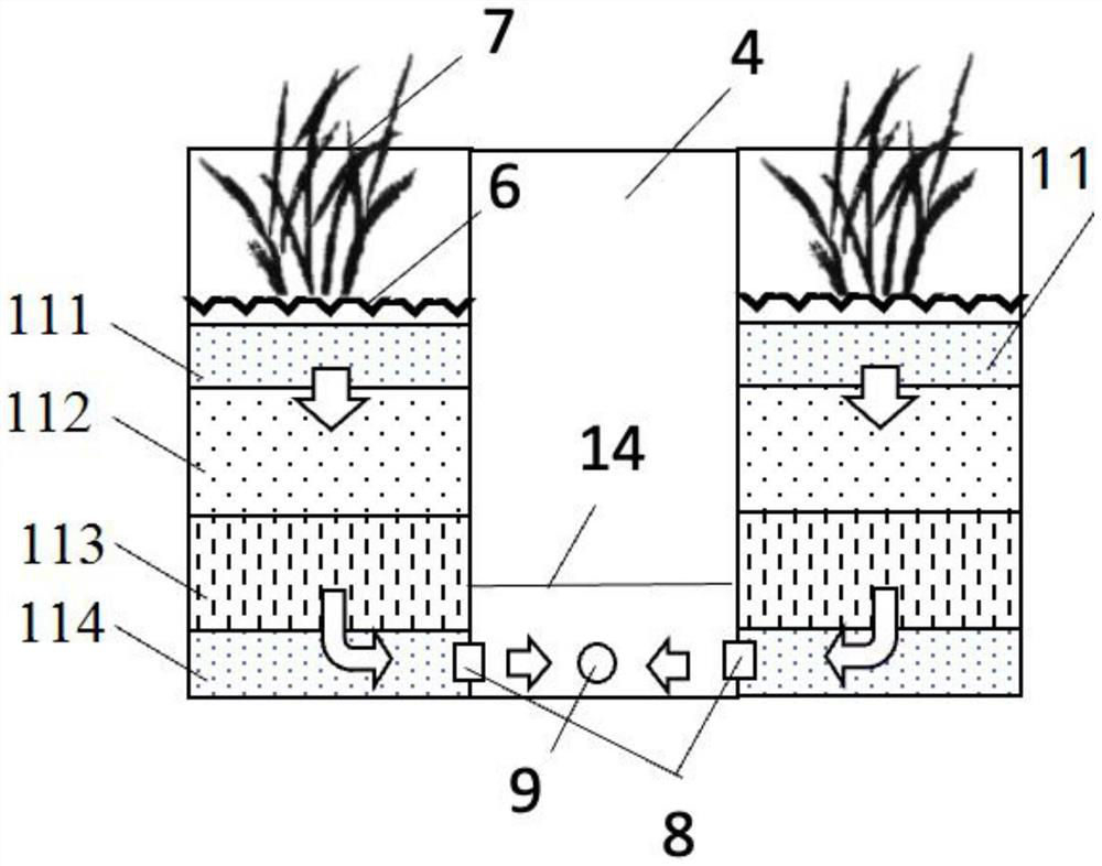 Water body self-circulation fresh water ecological breeding system