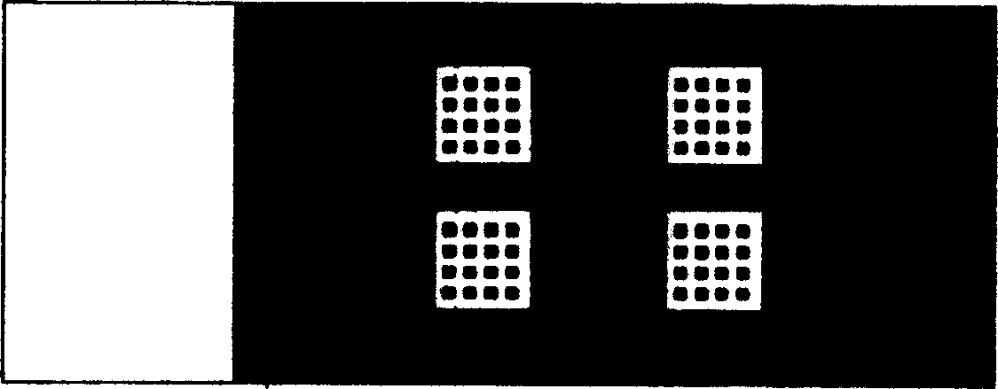 Protein chip for detecting blood and cerebro spinal fluid pathogen antibody, and its preparing method and use