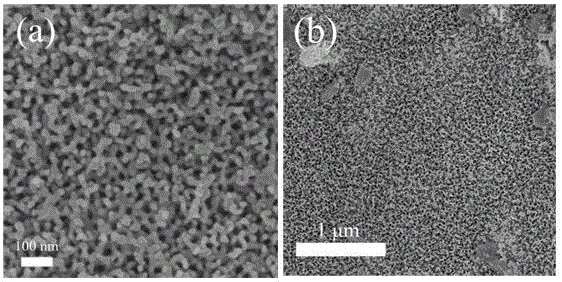 Method for synthesizing anatase titanium dioxide and manganese dioxide nanocomposite through surfactant assisted electrodeposition and application of method