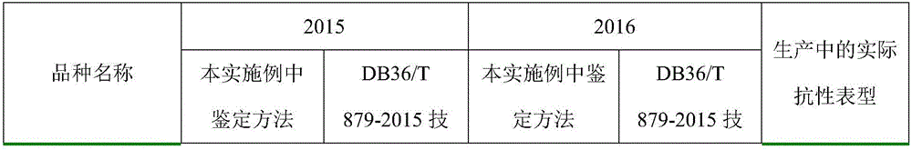 Field high-flux identification method for bacterial wilt resistance of sesamum indicum varieties