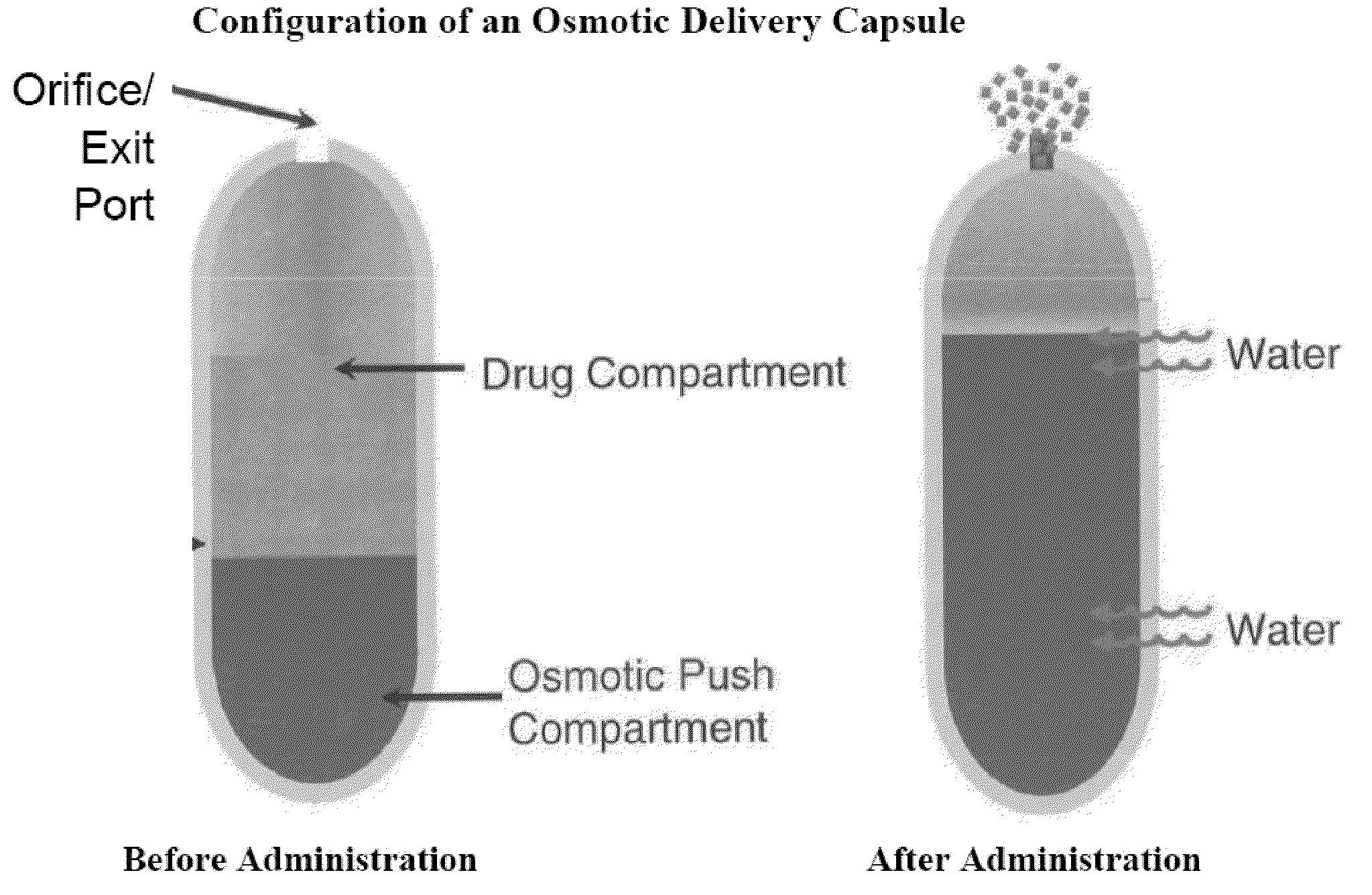 Blow-molded thin-walled drug delivery capsules