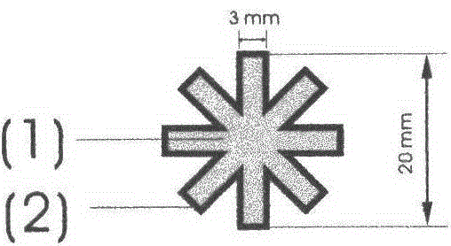 Star-shaped ground body of nanometer conductive anticorrosion coating