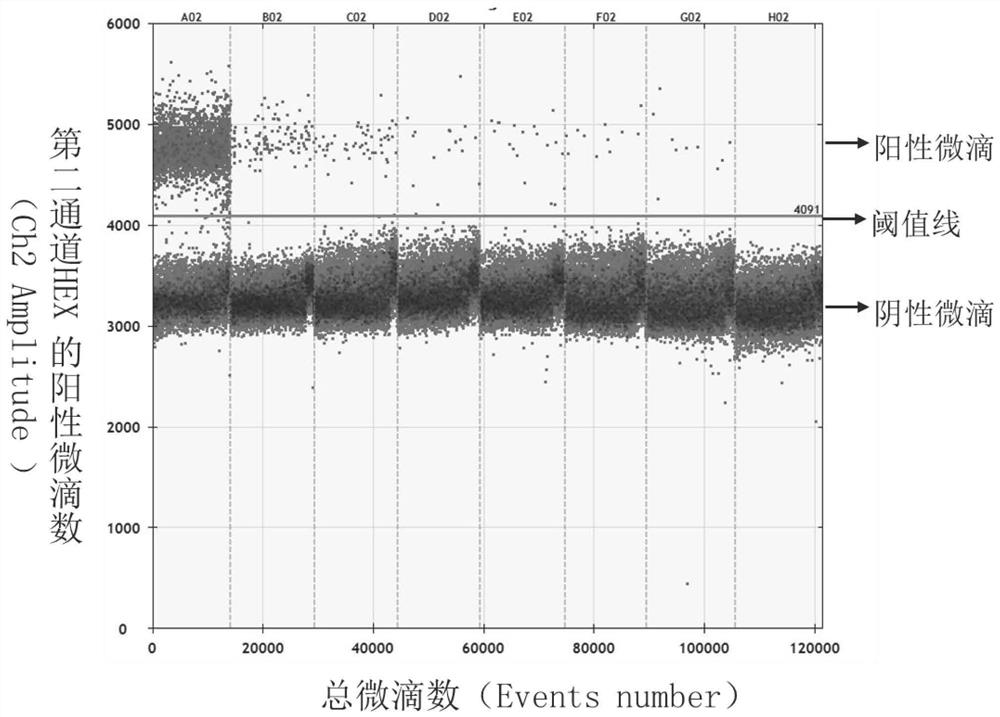 Kit for novel coronavirus droplet type digital PCR detection