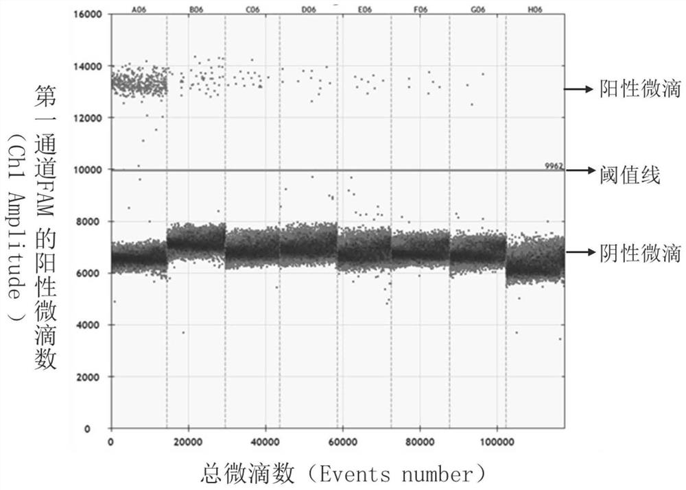 Kit for novel coronavirus droplet type digital PCR detection