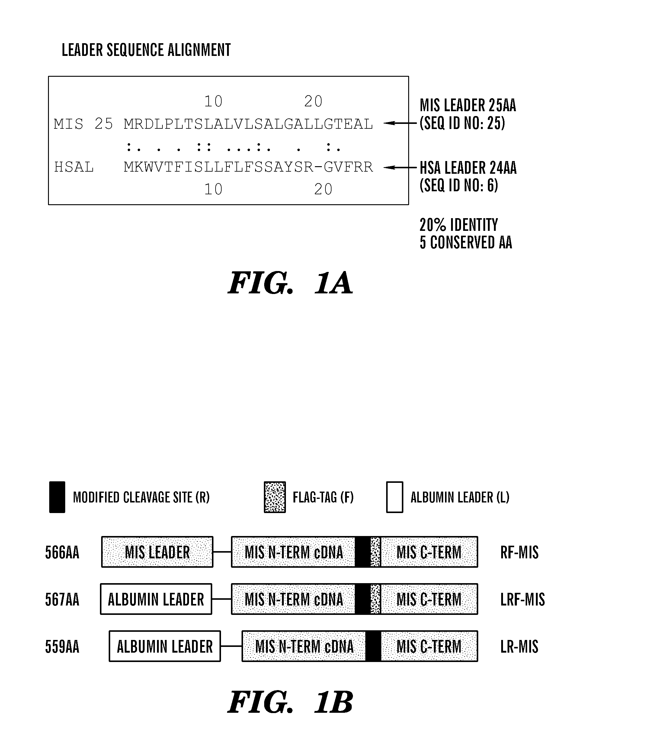 Modified mullerian inhibiting substance (MIS) proteins and uses thereof for the treatment of diseases