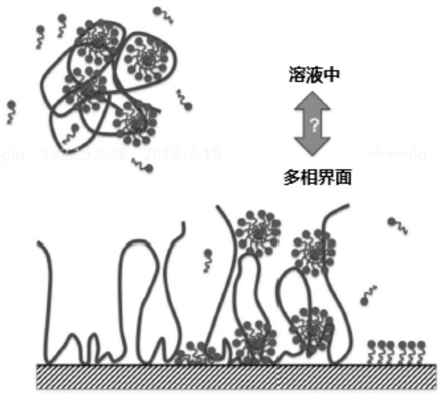 A kind of special detergent composition of low-foam type automatic dishwasher