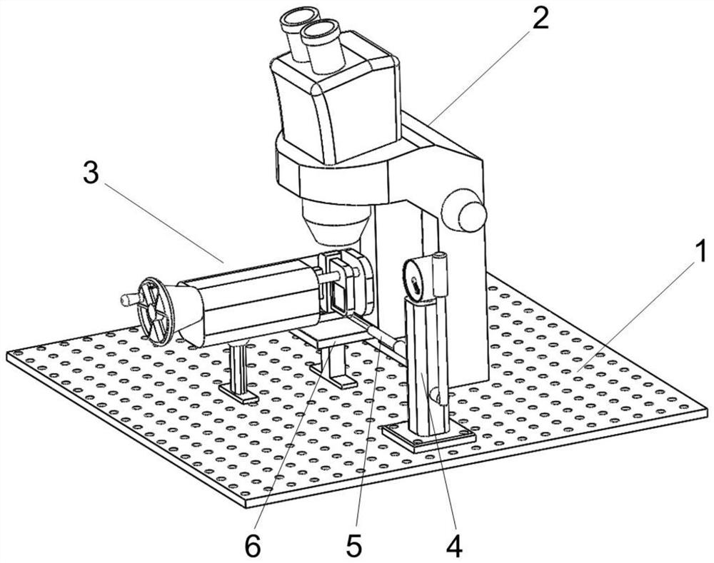 Manufacturing device and manufacturing method of rock salt inclusion sheet in original state