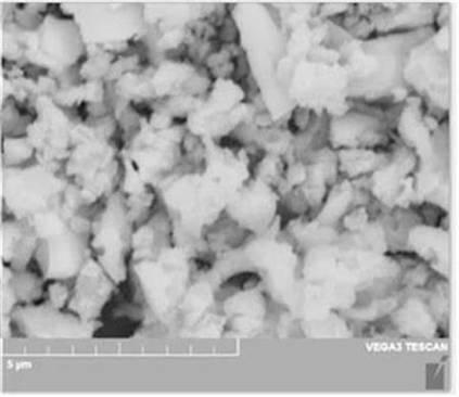 Super-flexible X/gamma ray protection membrane material with decoration or direct printing function and preparation method of material