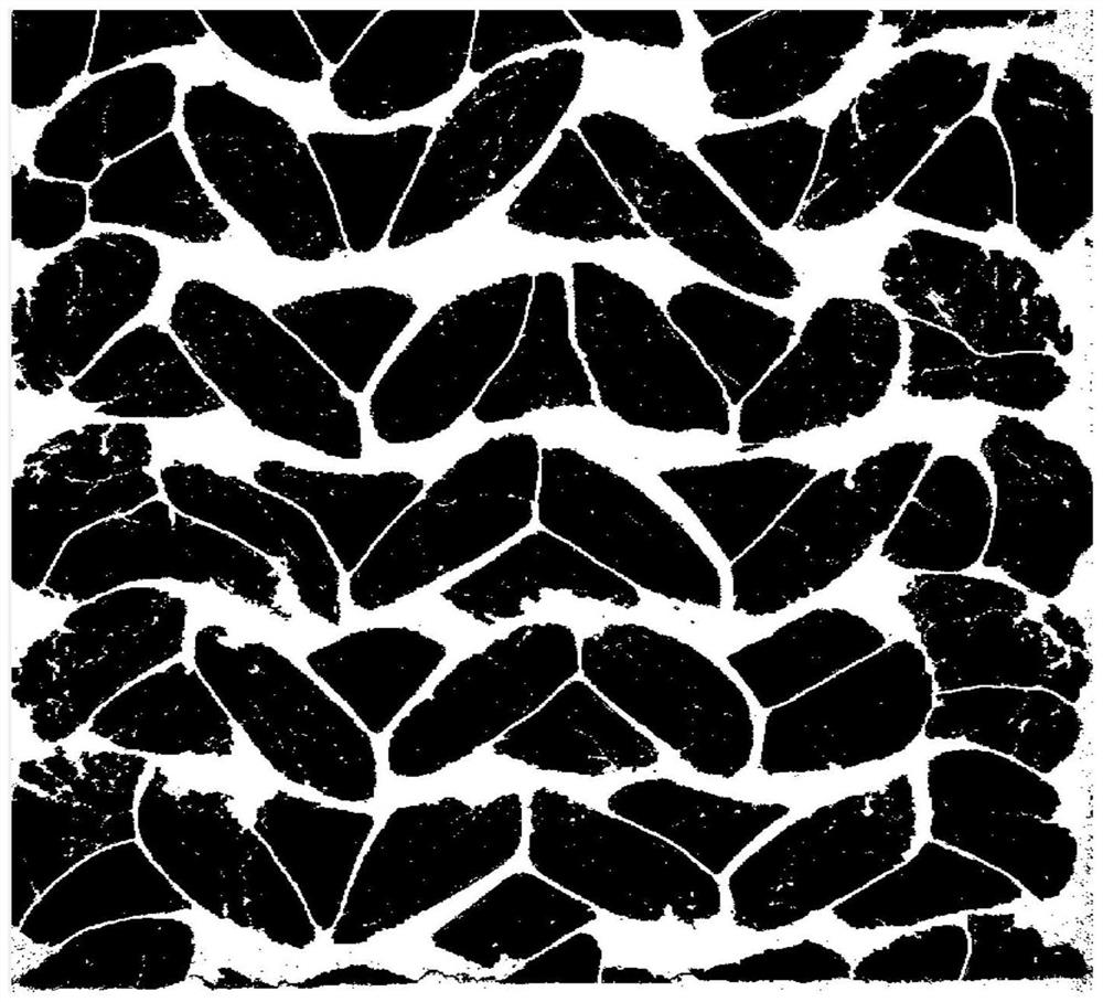 Three-dimensional reconstruction modeling method for fiber reinforced composite material based on CT (Computed Tomography) slice image