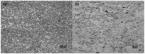 Low-temperature rolling high-toughness wrought magnesium alloy and preparation method thereof