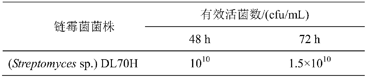 Isolated Streptomyces DL70 and biocontrol and growth promoting application thereof