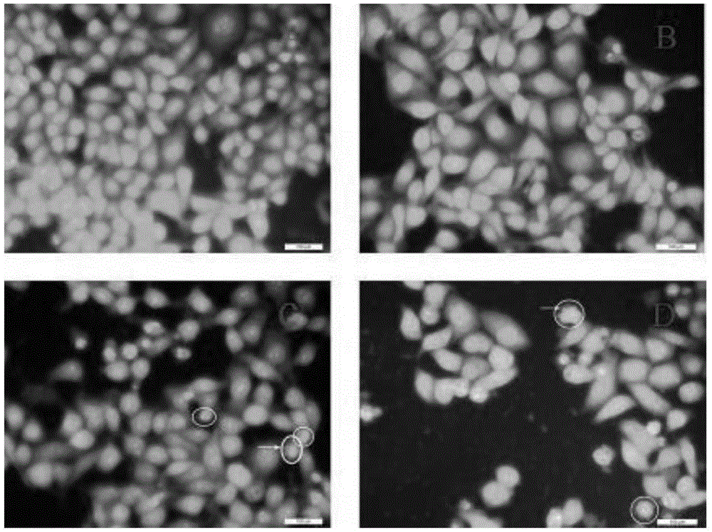 Use of pterostilbene in preparation of drugs for inhibiting liver cancer cell proliferation and inducing liver cancer cell apoptosis