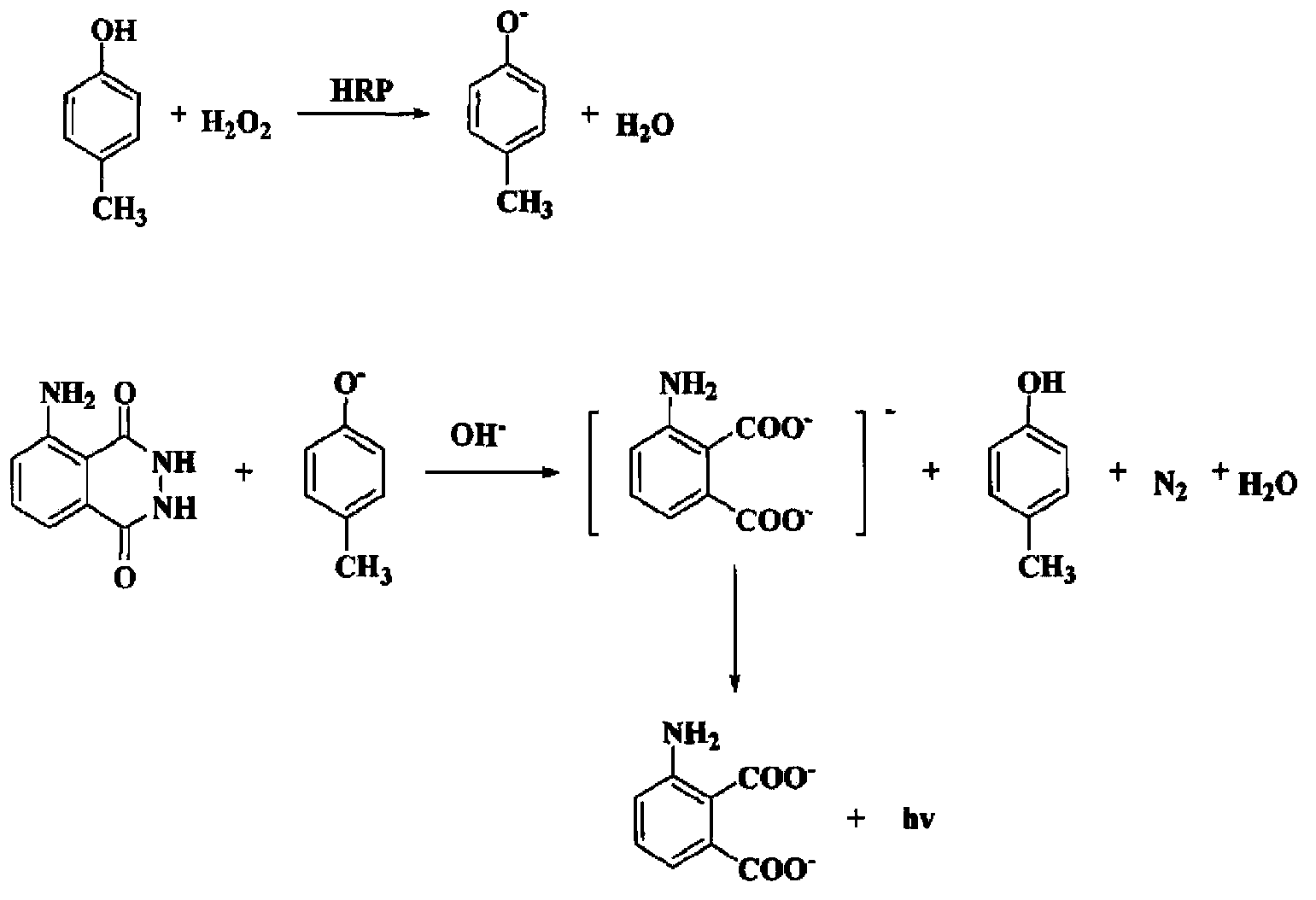 Chemiluminescence detection kit for furaltadone metabolite and applications of the kit