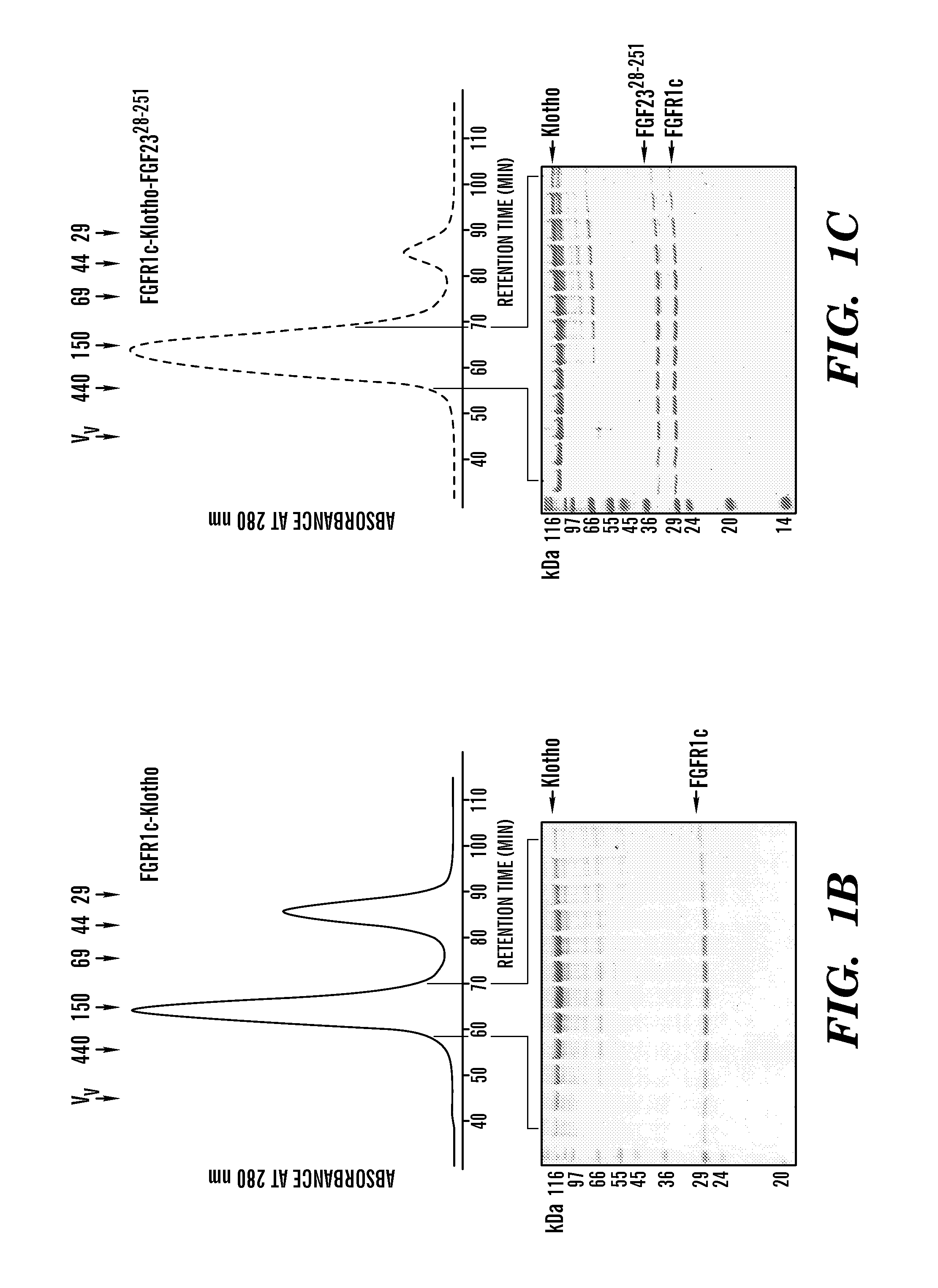 Inhibiting binding of fgf23 to the binary fgfr-klotho complex for the treatment of hypophosphatemia