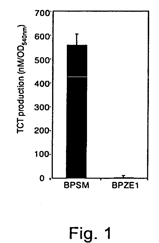 Live Attenuated Bordetella Strains as a Single Dose Vaccine Against Whooping cough