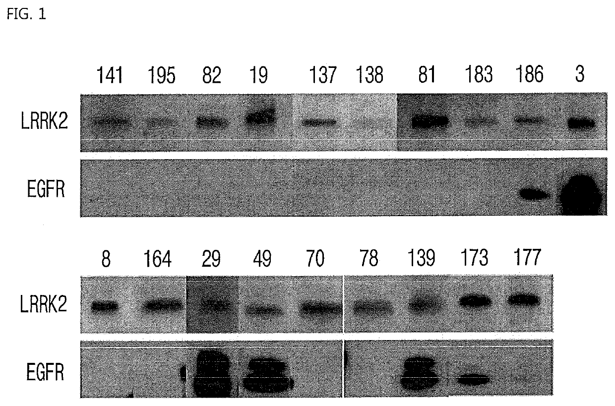 Pharmaceutical Composition Comprising Compound Capable of Penetrating Blood-Brain Barrier as Effective Ingredient for Preventing or Treating Brain Cancer