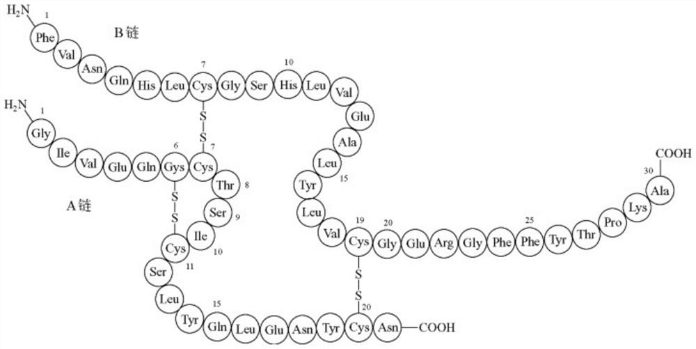 Fusion protein containing fluorescent protein fragment and application of fusion protein