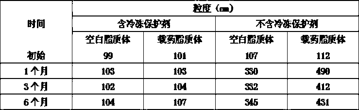 Epirubicin liposome as well as preparation method and preserving method thereof