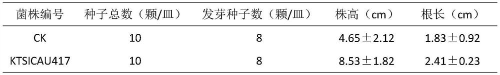 A kind of Streptomyces sicau417 and application thereof