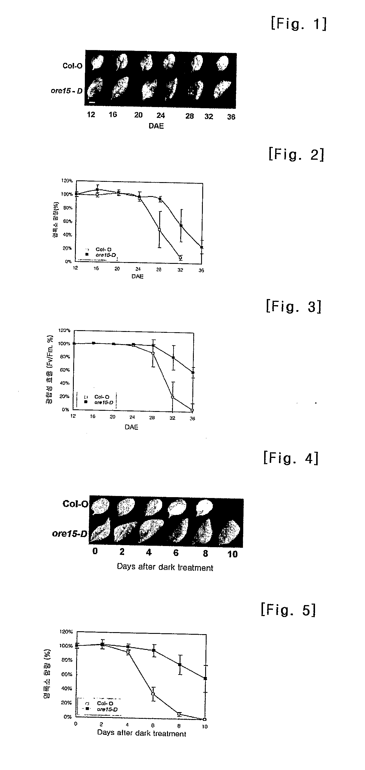 Protein Regulating Leaf Longevity of Plants, the Gene Thereof and Their Use