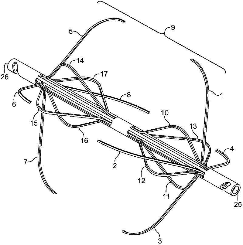 Percutaneous retrievable vascular filter