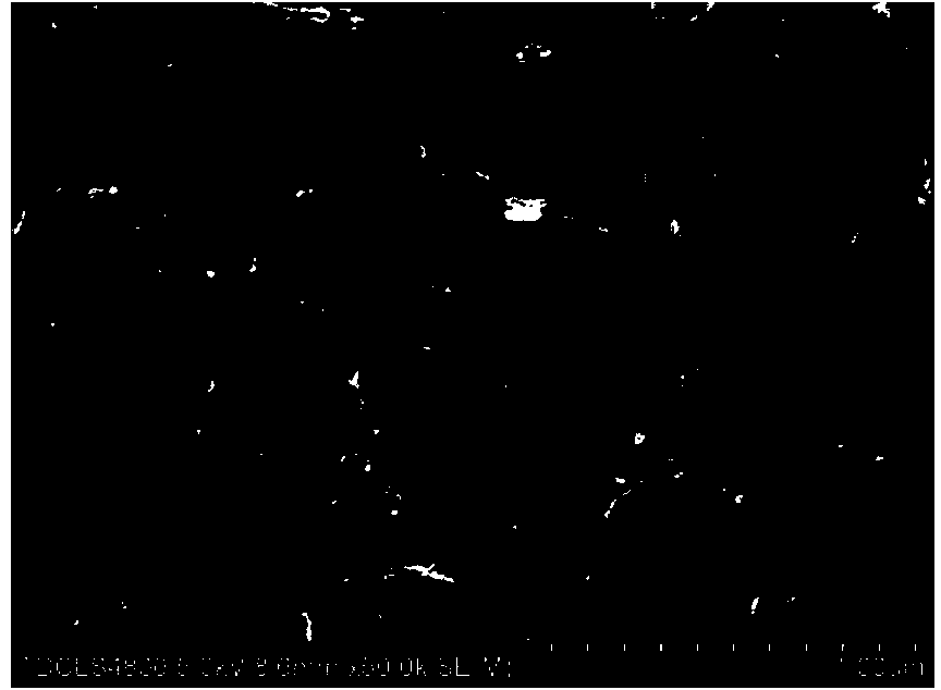 Method for improving biological activity of pure titanium surface by using dopamine to be bonded with graphene oxide