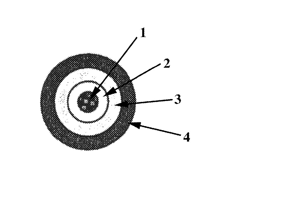 Controlled release system and method for manufacturing the same