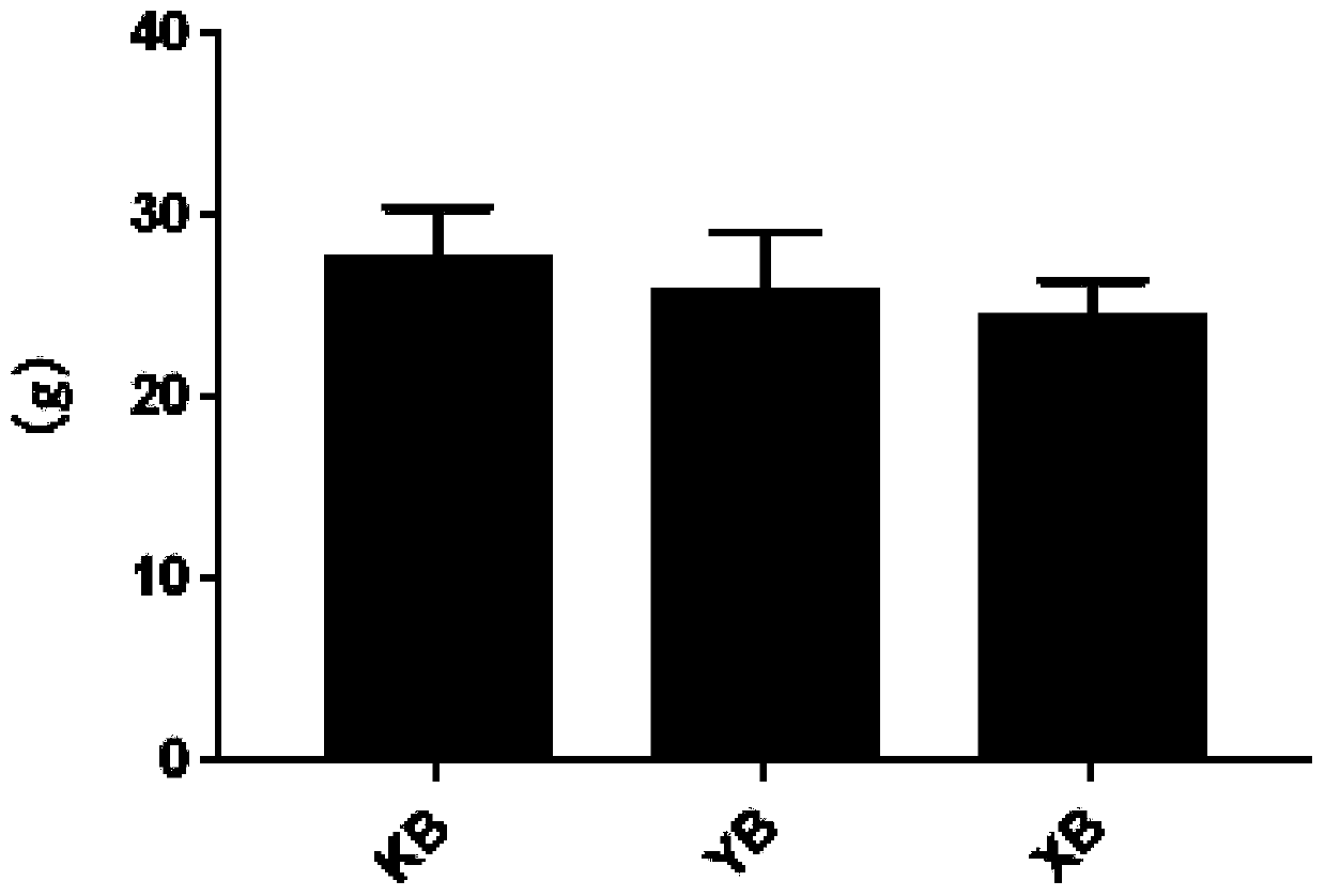 Probiotic preparation and preparation method thereof