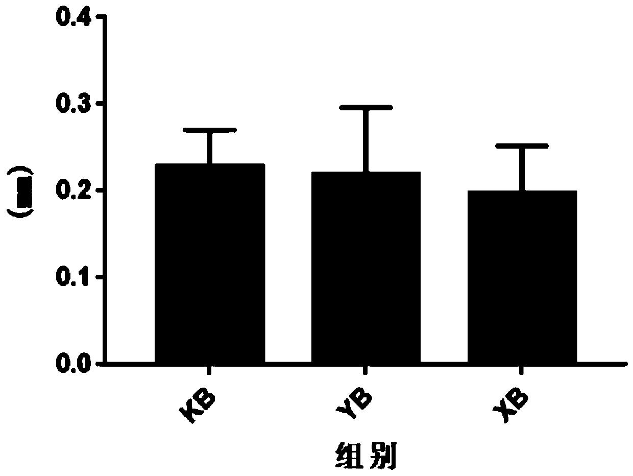 Probiotic preparation and preparation method thereof