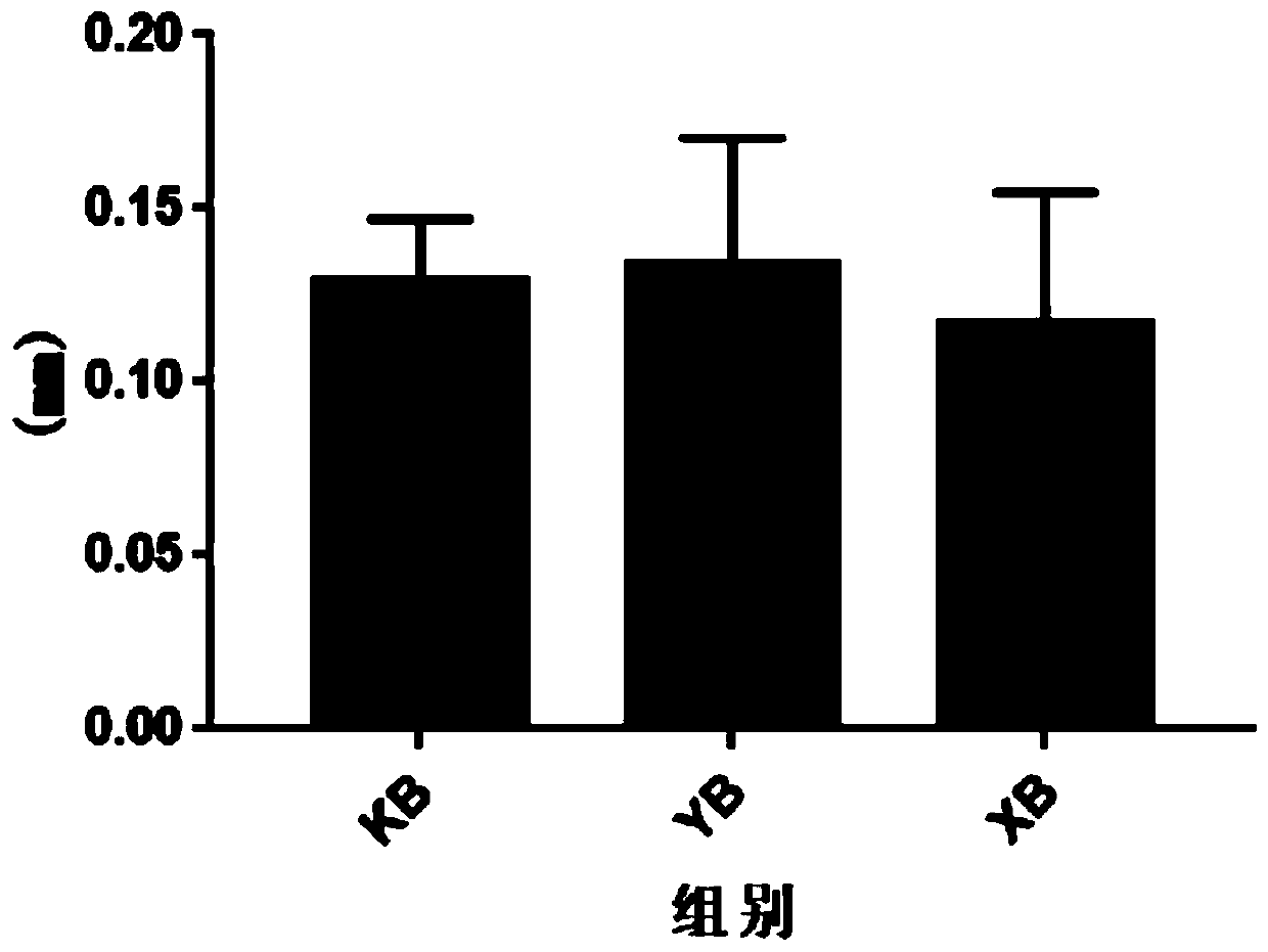 Probiotic preparation and preparation method thereof