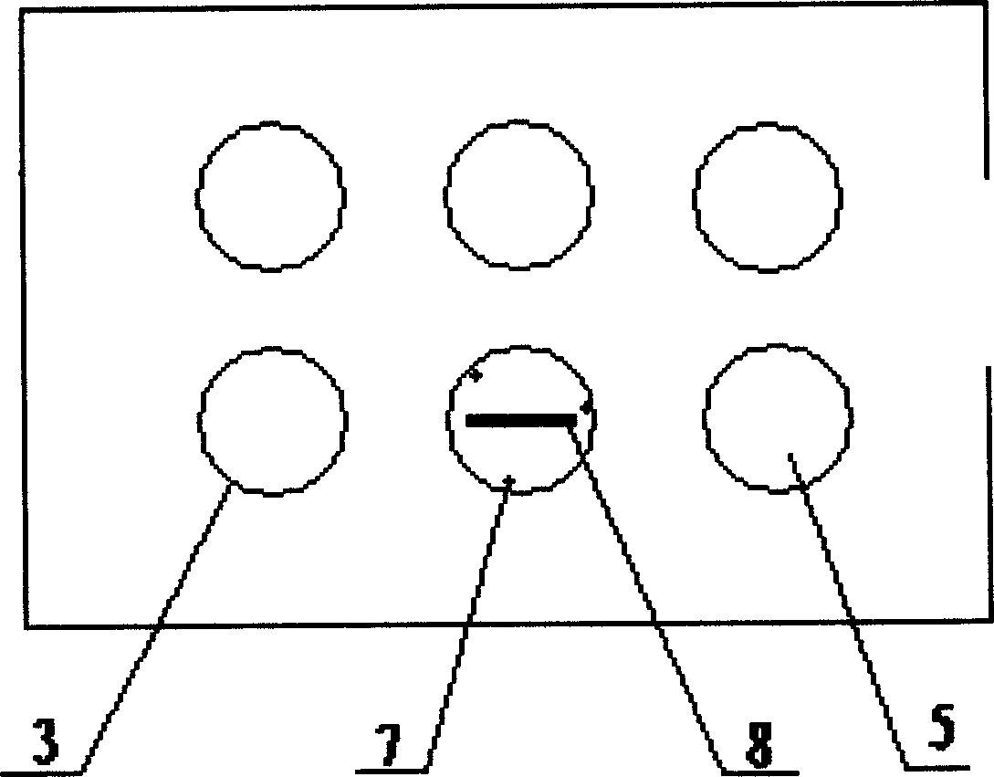 Method and device for layering and fixing amnion and removing cell by using amnion 3D matrix tissue engineering scaffold