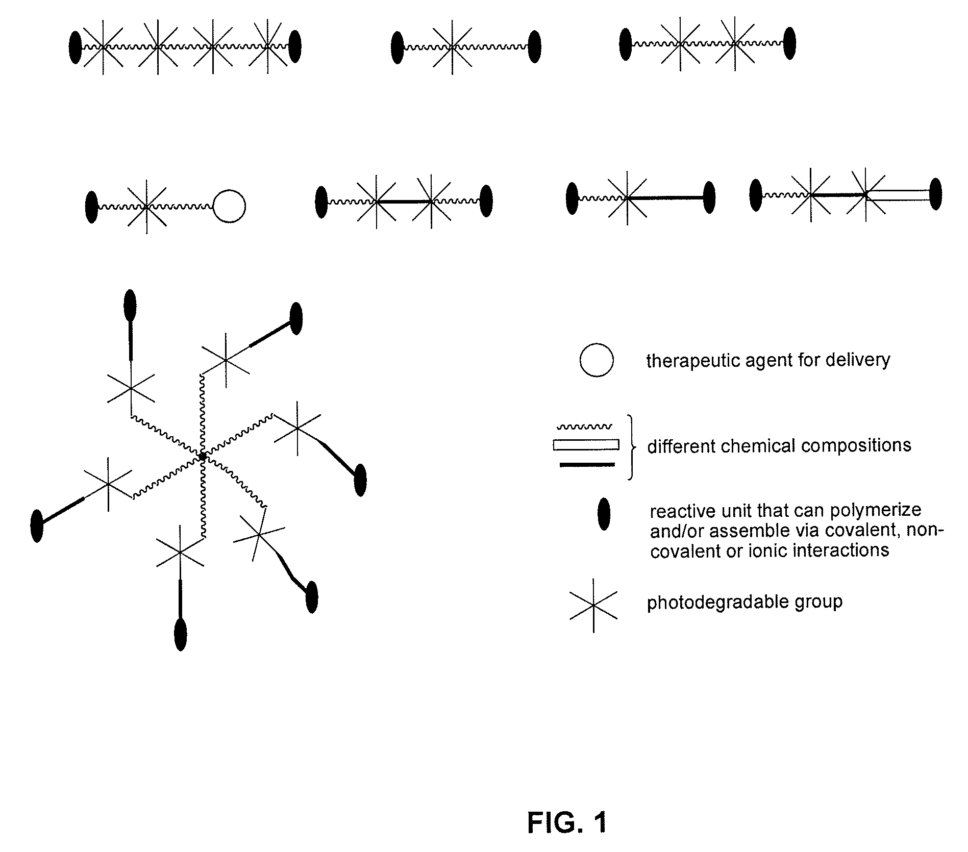 Photodegradable groups for tunable polymeric materials