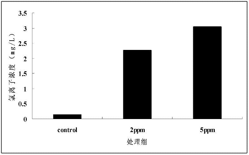 Nostoc capable of degrading polychlorinated biphenyls and application thereof