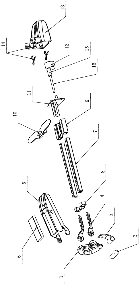 Multifunctional novel exercising device for genital organ