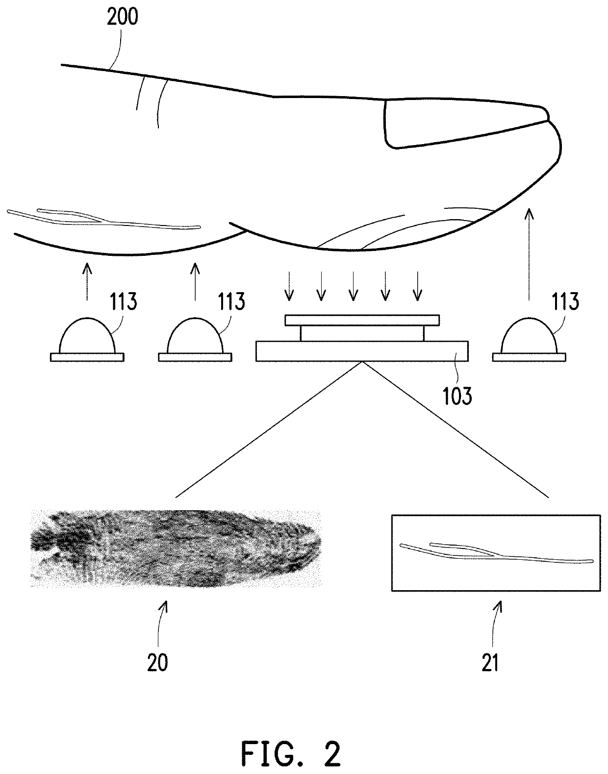 Electronic device and method for obtaining features of biometrics