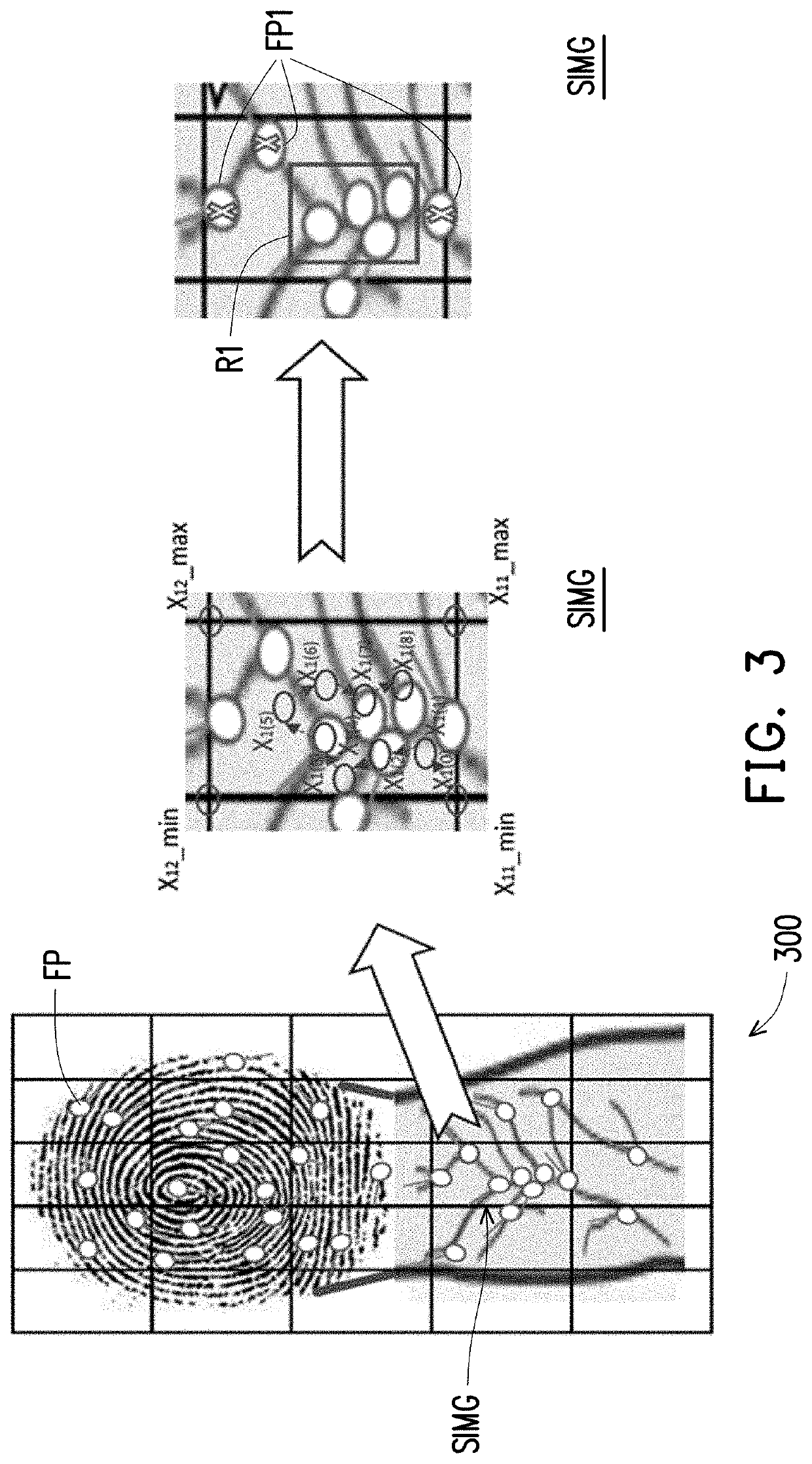 Electronic device and method for obtaining features of biometrics