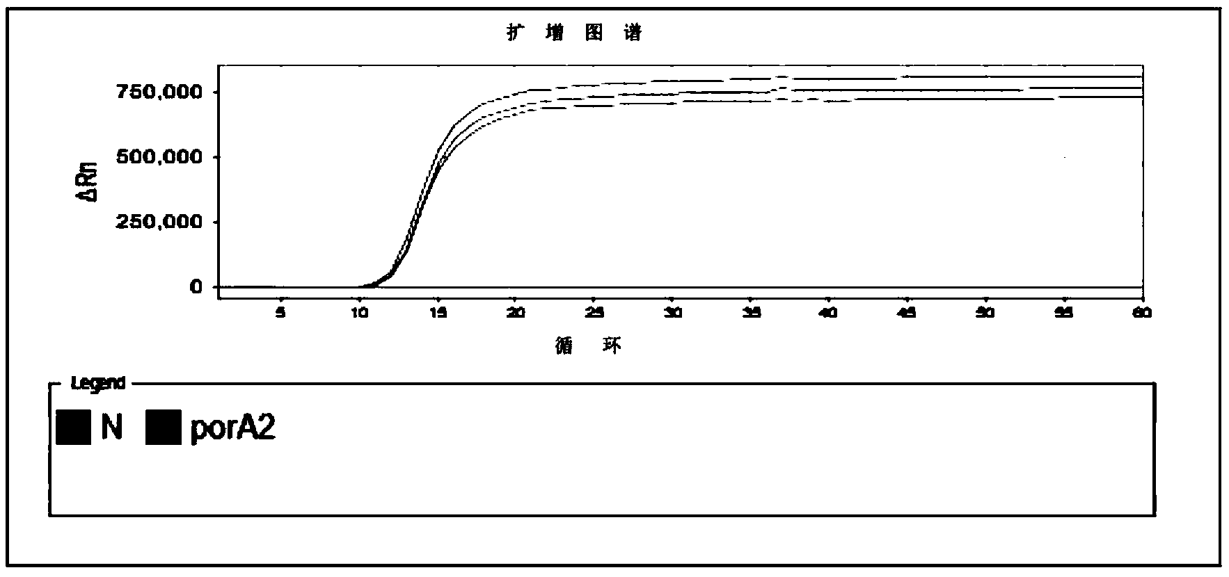 Primer group for gonococci detection, kit containing primer group and application thereof