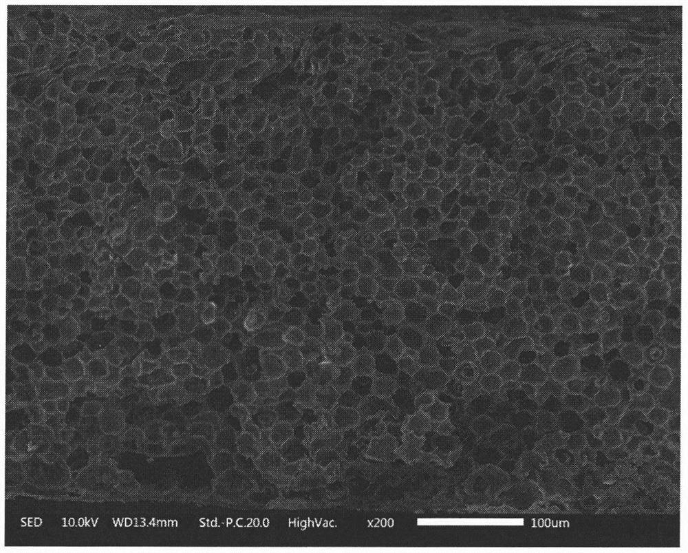 Method for preparing foamed polylactic acid by adopting normal-temperature foaming technology