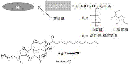 Functionalized polyethylene resin with antibacterial properties and preparation method thereof