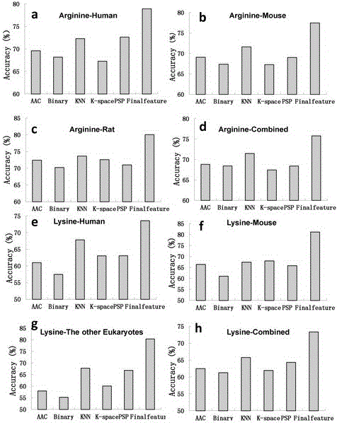 Prediction method for protein post-translational modification methylation loci