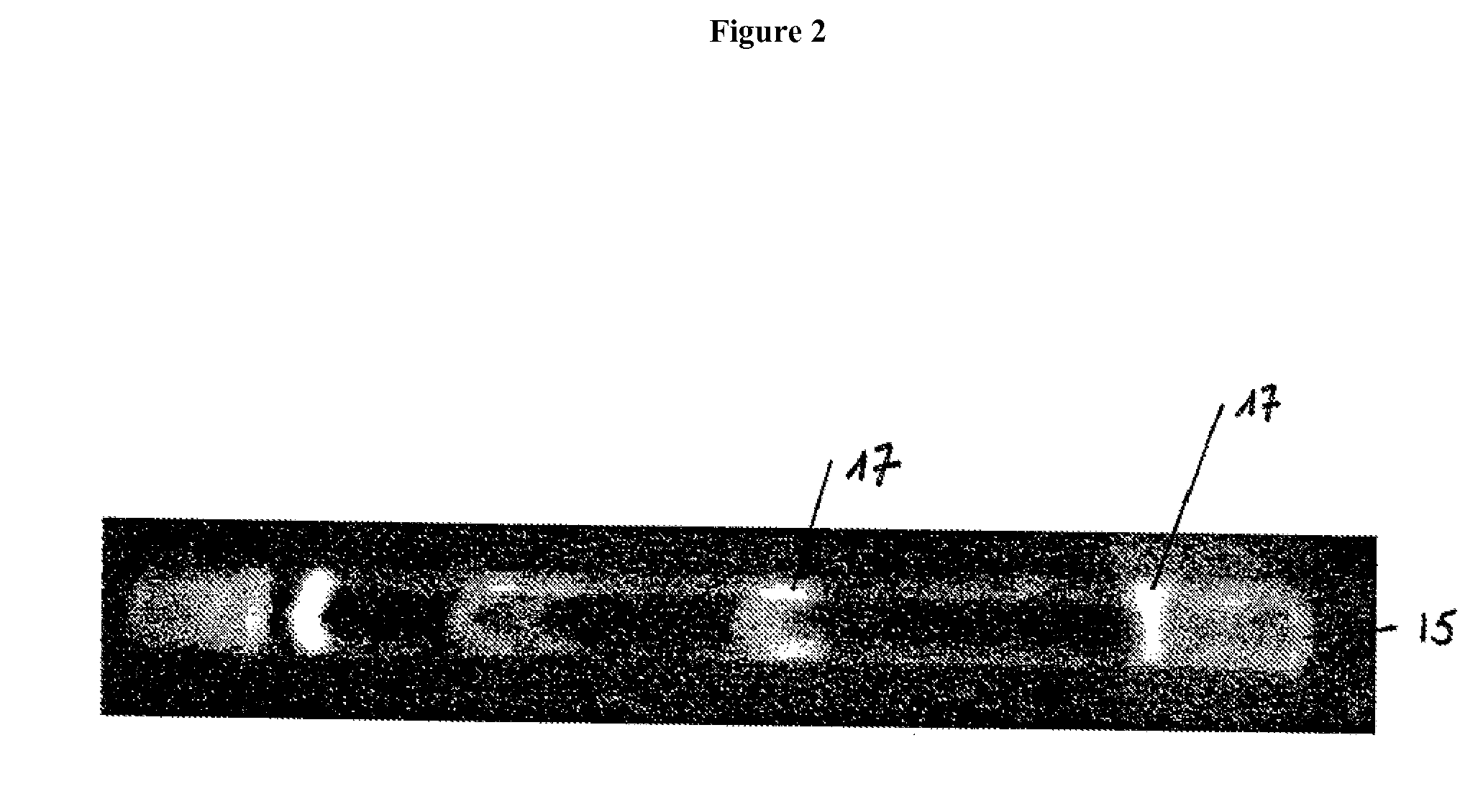 Integrated 2d gel electrophoresis method and system