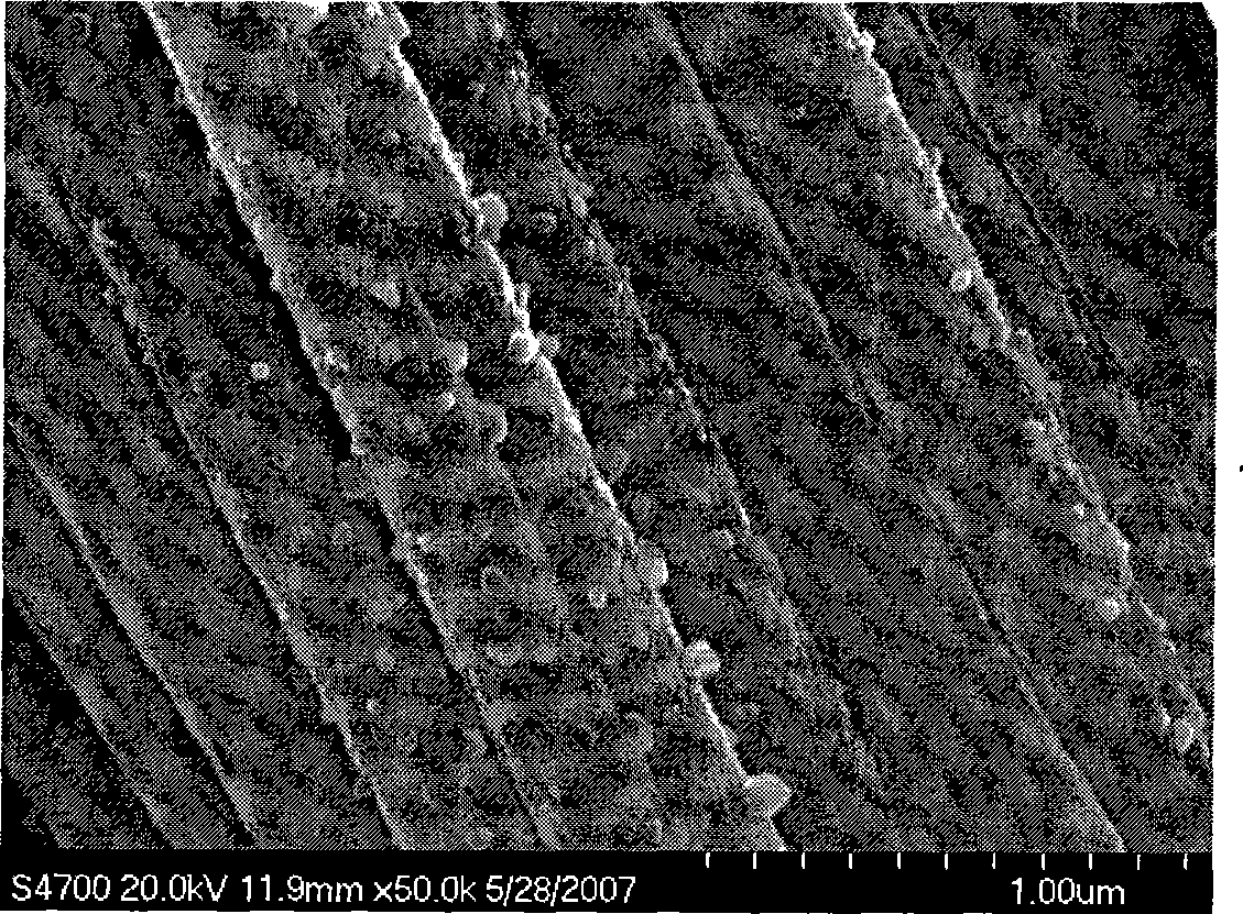 Nano-fibre supported titanium dioxide photocatalyst and preparation method thereof