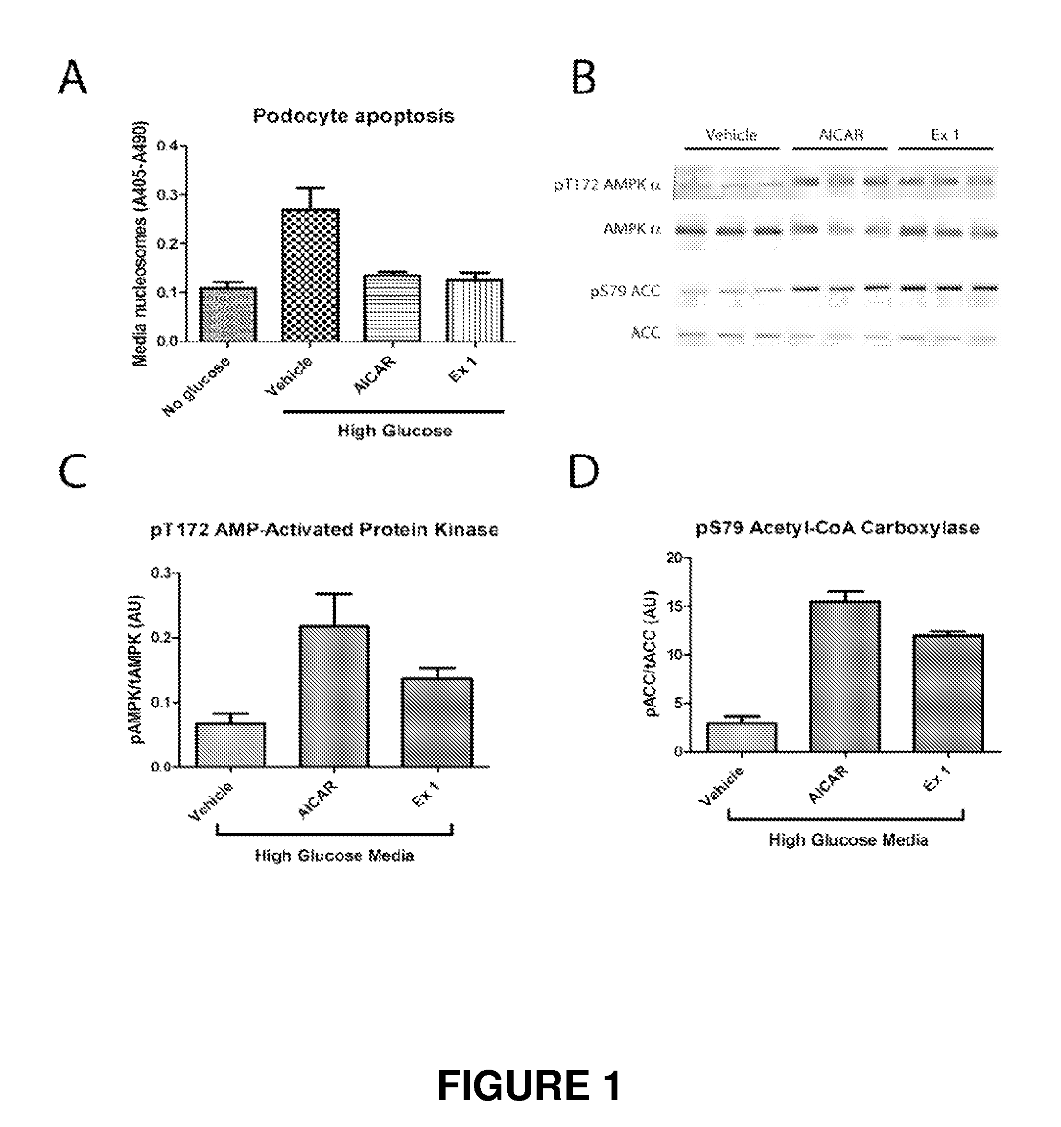 Indole and indazole compounds that activate ampk