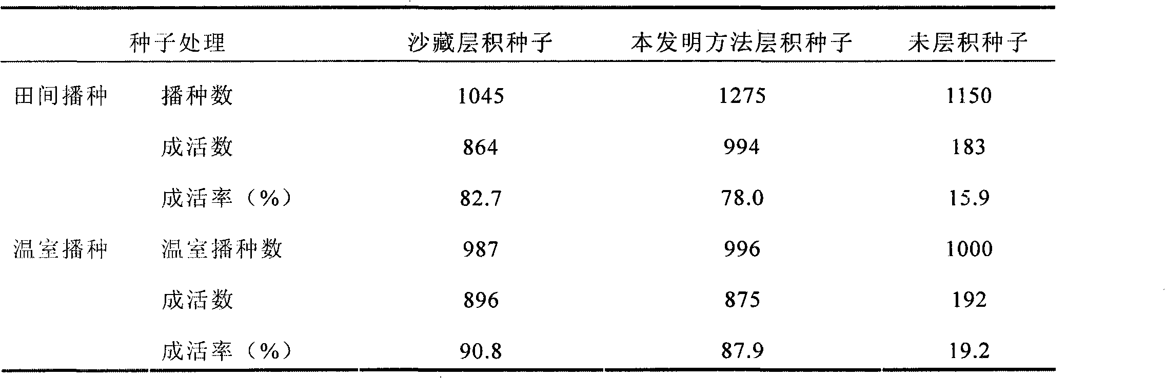 Malus baccata stratification method