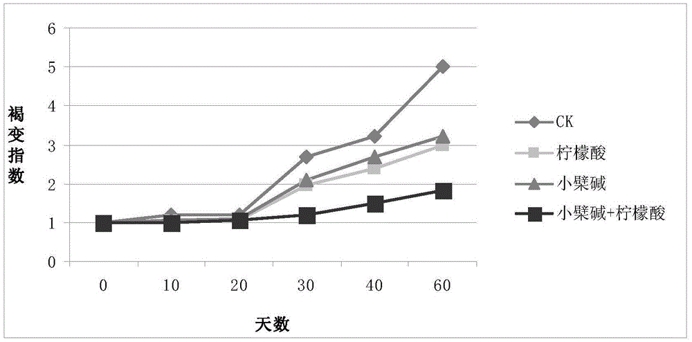 Fruit and vegetable preservative and preparation method thereof