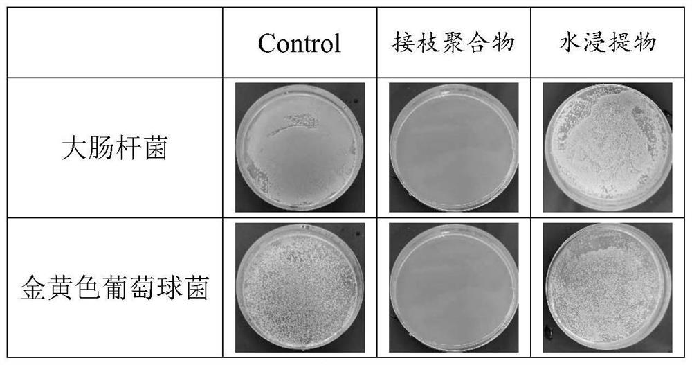 Water-based paint in-can preservative