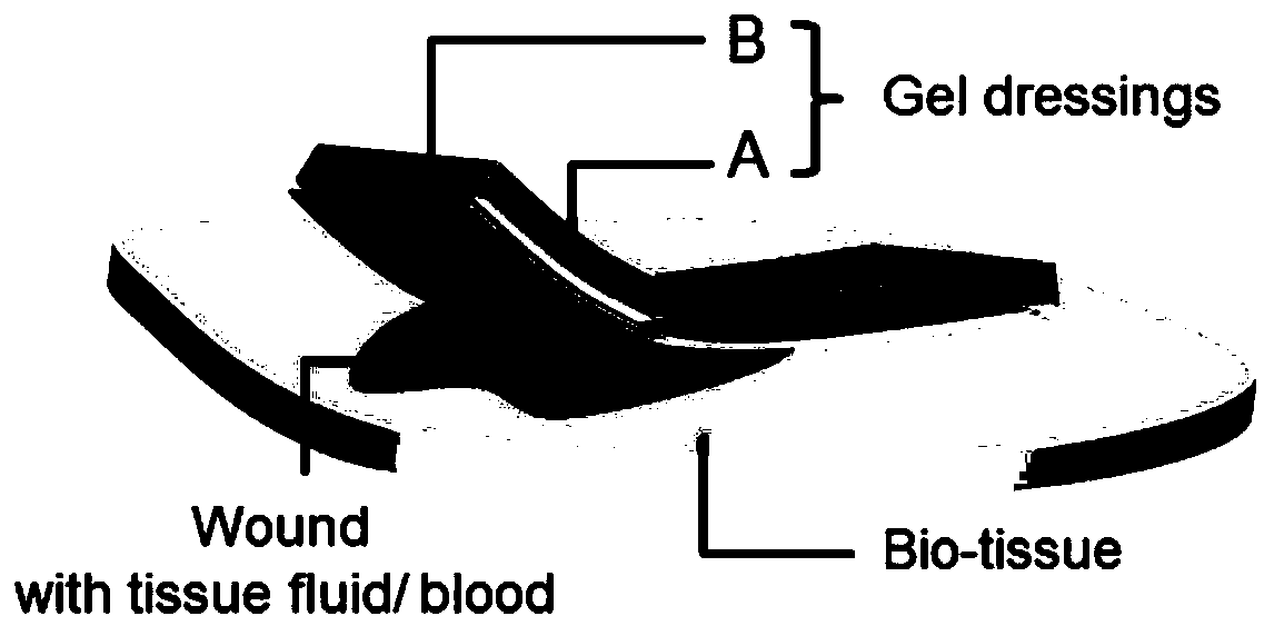 Tough and adherent wet tissue hydrogel dressing box and preparation method and application thereof